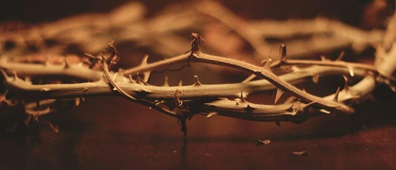 thorn crown