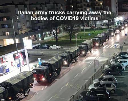 Covid 19 bodies