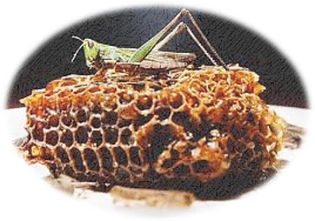 locust and honey