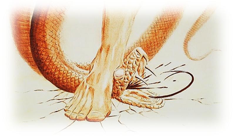 Serpent and heel