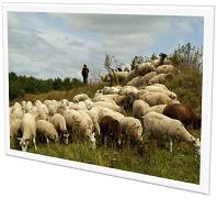 Home Visitation and the Lord’s Supper