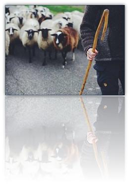 The Confession of Faith Article 30