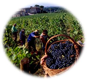 The Confession of Faith Article 31 