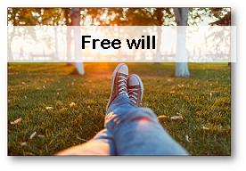 What is Free Will?