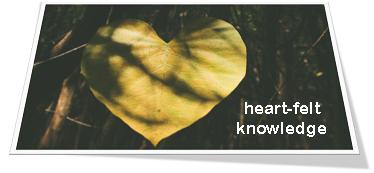 Pastoral Advice to The Impressed, But "Unconverted"