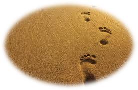 An Open Letter to True Believers: Living Through Afflictions Christianly