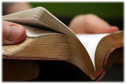 The Belgic Confession of Faith Article 7