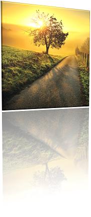 The Belgic Confession of Faith  Article 10