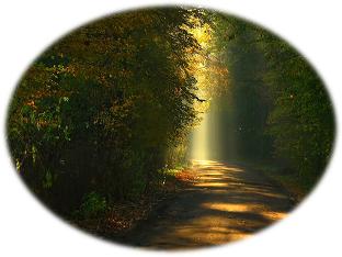 The Belgic Confession of Faith Article 11