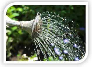 Hindrances to Growth in Grace