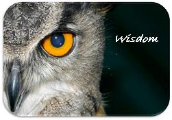 The Belgic Confession of Faith Article 6 The Apocryphal Books