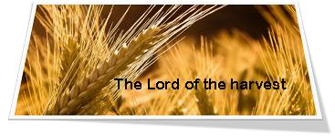 The Belgic Confession of Faith Article 11 The Divinity of the Holy Spirit 