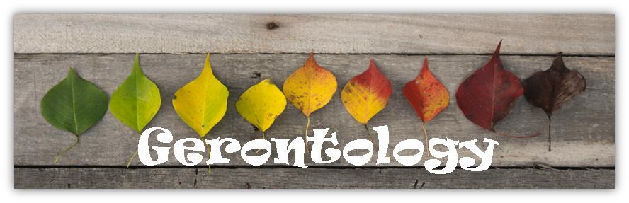 different colored leaves