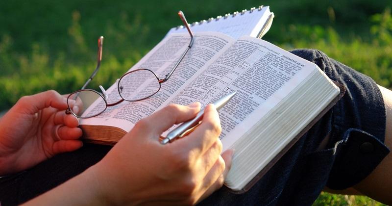 Bible reading