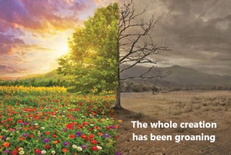 Creation