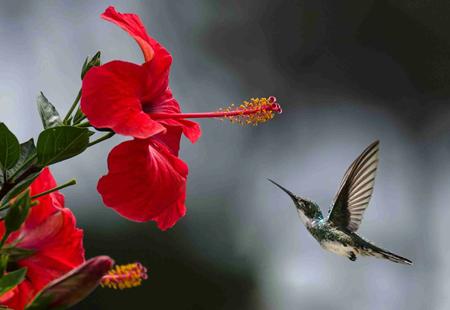 creation