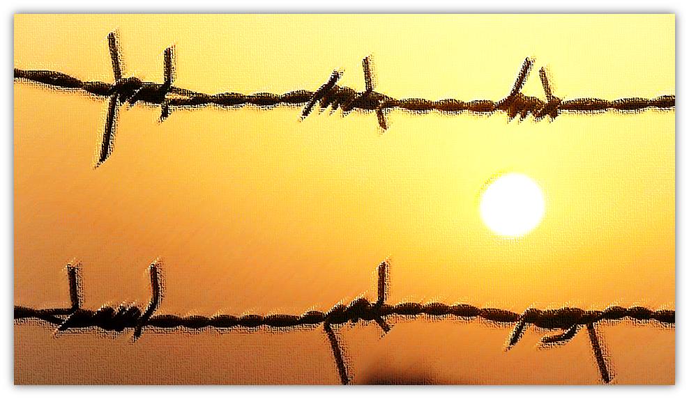 fence and sun
